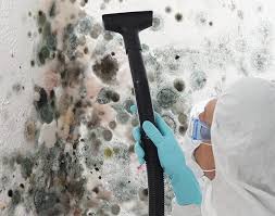 Best Industrial Mold Remediation in Goodwater, AL